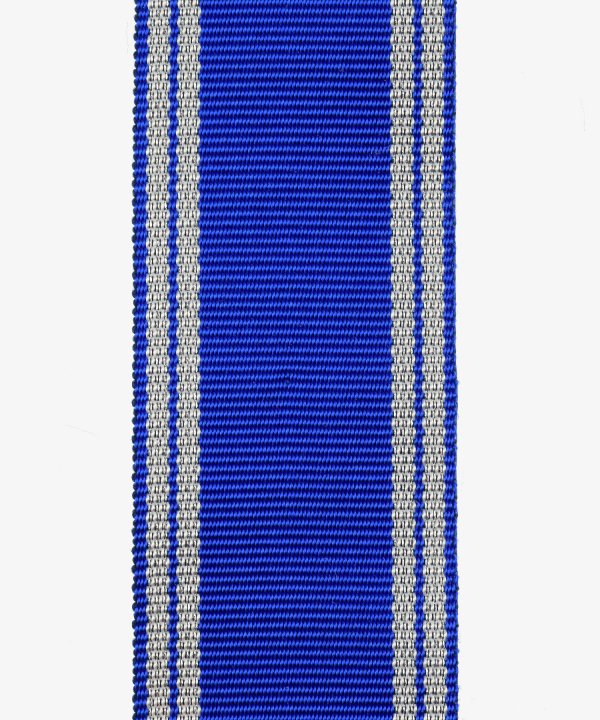 German Reich, service awards of the NSDAP 2nd level in silver (160)